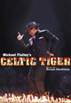 dvd диск "Майкл Флэтли "Кельтский Тигр""