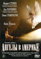 dvd диск "Ангелы в Америке (2 dvd)"